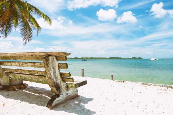 Bench by a tree on the beach